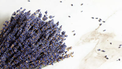 Lavender Bundle for Fresh Scents